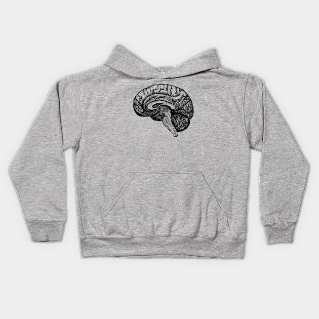 Vintage illustration of a human brain Kids Hoodie by mike11209